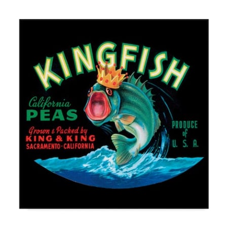 Vision Studio 'Kingfish' Canvas Art,18x18